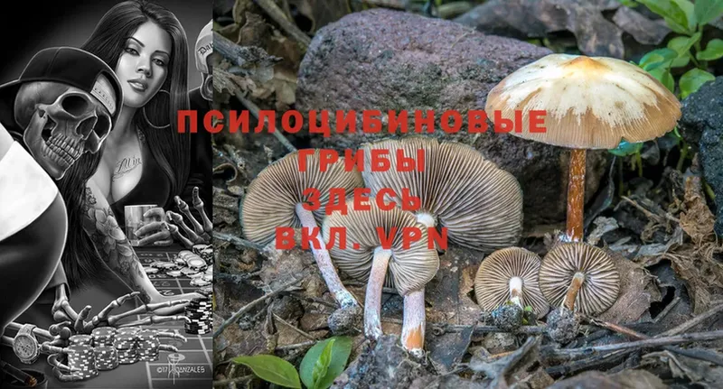 Галлюциногенные грибы Magic Shrooms  Собинка 